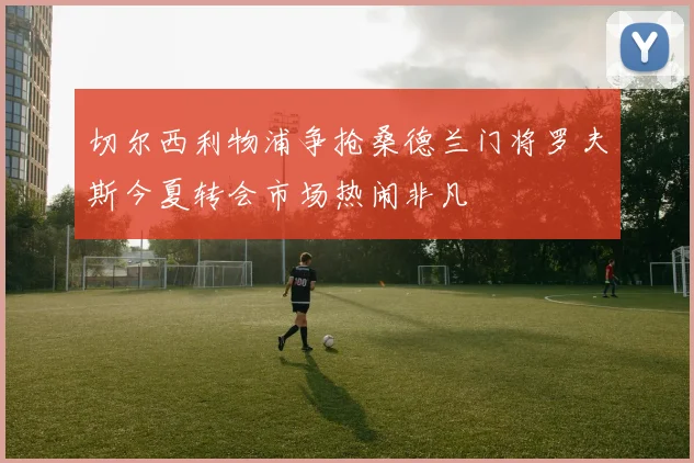 切尔西利物浦争抢桑德兰门将罗夫斯今夏转会市场热闹非凡